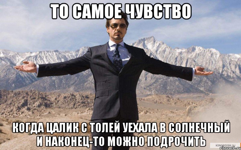 То самое чувство Когда Цалик с Толей уехала в солнечный и наконец-то можно подрочить, Мем железный человек