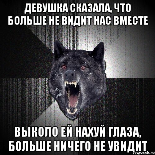 девушка сказала, что больше не видит нас вместе выколо ей нахуй глаза, больше ничего не увидит, Мем  Злобный волк