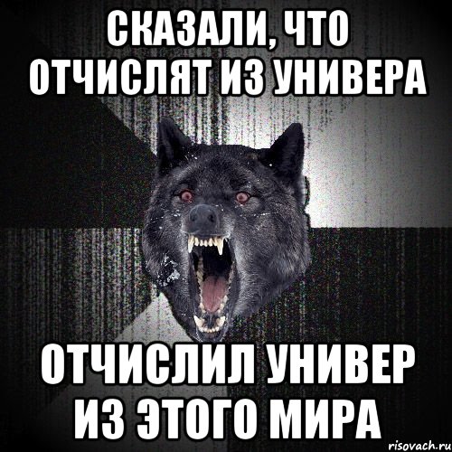 сказали, что отчислят из универа отчислил универ из этого мира, Мем  Злобный волк