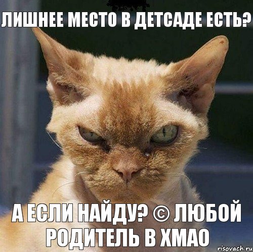 ЛИШНЕЕ МЕСТО В ДЕТСАДЕ ЕСТЬ? А ЕСЛИ НАЙДУ? © любой родитель в ХМАО, Комикс  злой кот