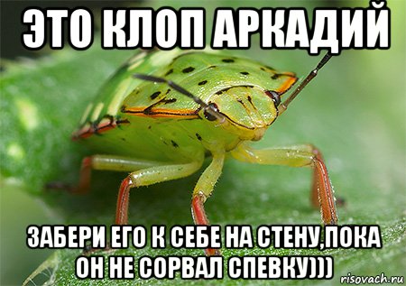 Приколы про клопов картинки