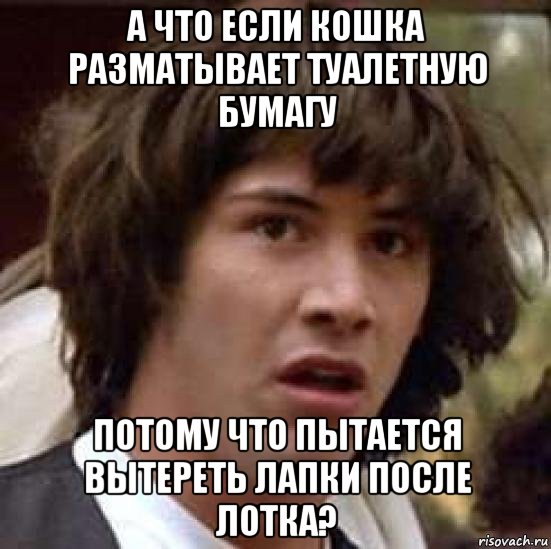 а что если кошка разматывает туалетную бумагу потому что пытается вытереть лапки после лотка?, Мем А что если (Киану Ривз)