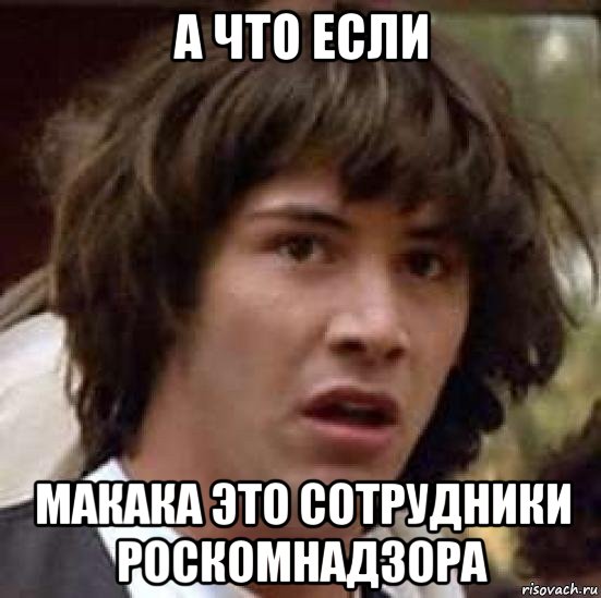 а что если макака это сотрудники роскомнадзора, Мем А что если (Киану Ривз)