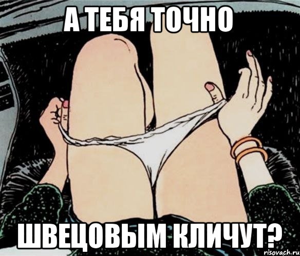 А тебя точно Швецовым кличут?, Мем А ты точно