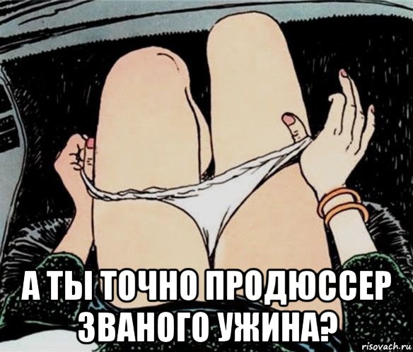  а ты точно продюссер званого ужина?, Мем А ты точно