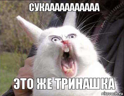 Сукааааааааааа Это же тринашка, Комикс а