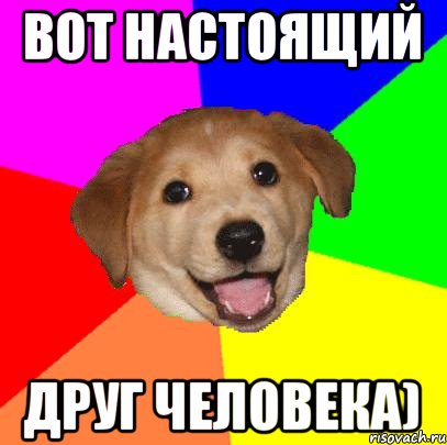 Вот настоящий Друг человека), Мем Advice Dog