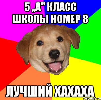 5 ,,А" класс школы номер 8 Лучший хахаха, Мем Advice Dog