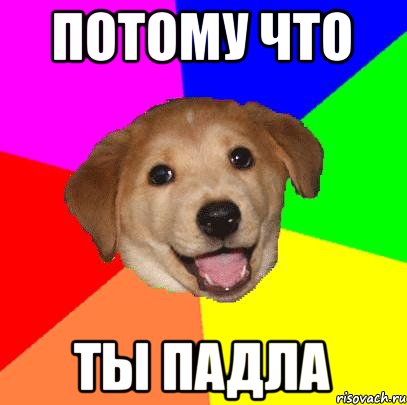 Потому что ты падла, Мем Advice Dog