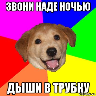 ЗВОНИ НАДЕ НОЧЬЮ ДЫШИ В ТРУБКУ, Мем Advice Dog