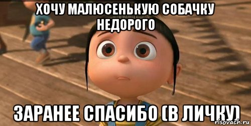 ХОЧУ МАЛЮСЕНЬКУЮ СОБАЧКУ НЕДОРОГО ЗАРАНЕЕ СПАСИБО (В ЛИЧКУ), Мем    Агнес Грю