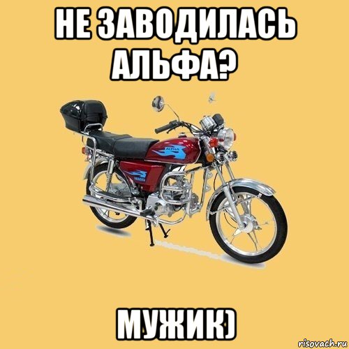 не заводилась альфа? мужик), Мем альфа