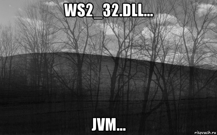 ws2_32.dll... jvm..., Мем безысходность тлен боль