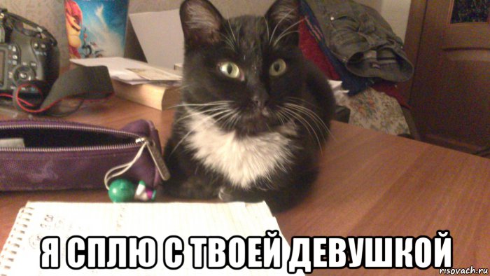 Я твоя девочка мем я сплю с твоей девушкой, Мем Чего - Рисовач .Ру