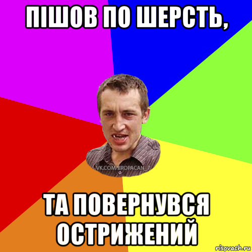 пішов по шерсть, та повернувся острижений, Мем Чоткий паца 7