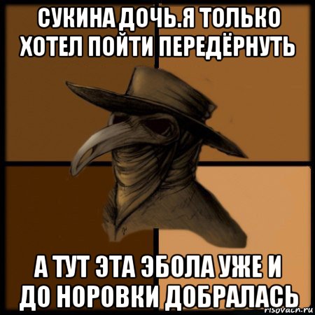 сукина дочь.я только хотел пойти передёрнуть а тут эта эбола уже и до норовки добралась, Мем  Чума