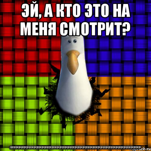 Эй, а кто это на меня смотрит? ????????????????????????????????????????????????????????????????????????????????