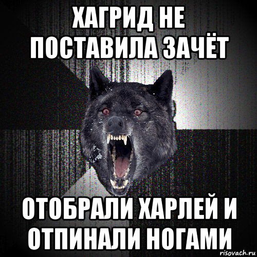 хагрид не поставила зачёт отобрали харлей и отпинали ногами, Мем  Злобный волк