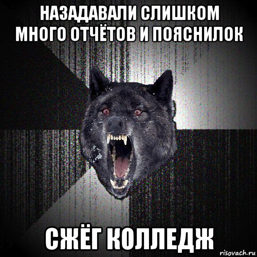 назадавали слишком много отчётов и пояснилок сжёг колледж, Мем  Злобный волк