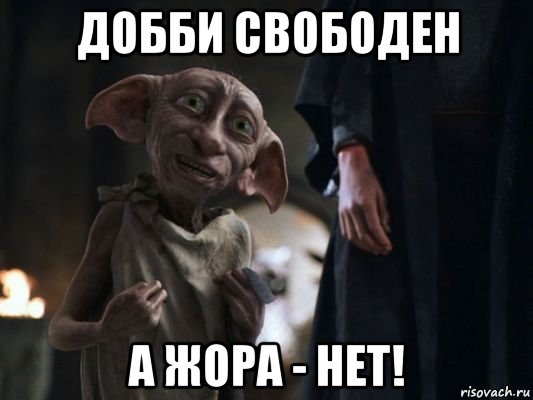 добби свободен а жора - нет!