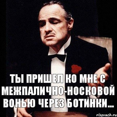 ты пришел ко мне с межпалично-носковой вонью через ботинки..., Комикс Дон Вито Корлеоне 1