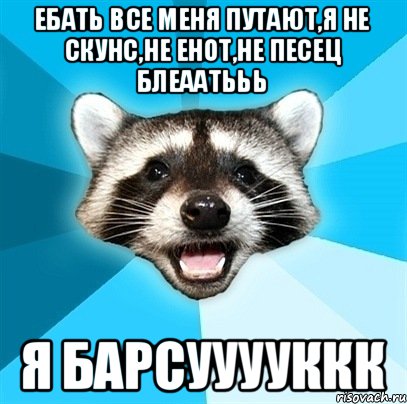 Ебать все меня путают,я не Скунс,не Енот,не песец блеаатььь Я барсууууккк, Мем Енот-Каламбурист