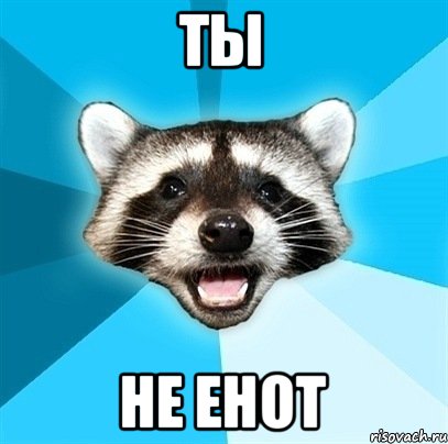 ТЫ НЕ ЕНОТ