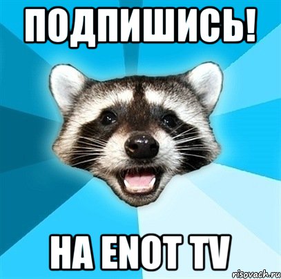 ПОДПИШИСЬ! На ENOT TV, Мем Енот-Каламбурист