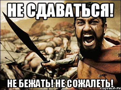 Не сдаваться! Не бежать! Не сожалеть!, Мем Это Спарта