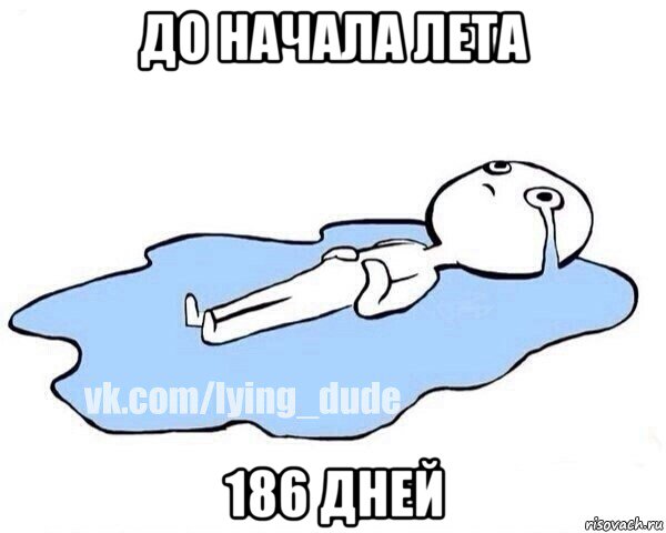 до начала лета 186 дней