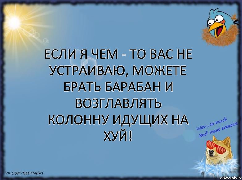 Если я чем - то вас не устраиваю, можете брать барабан и возглавлять колонну идущих на хуй!