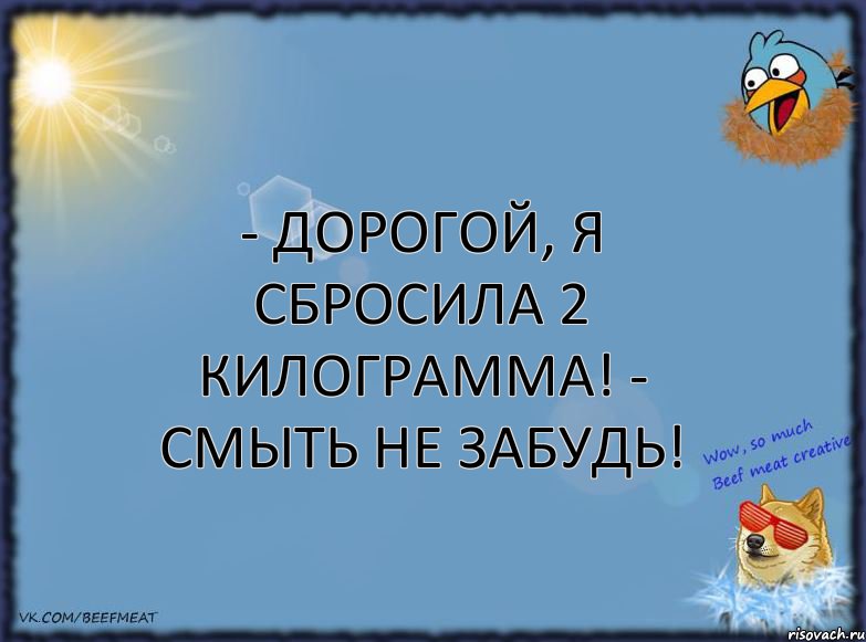 - Дорогой, я сбросила 2 килограмма! - Смыть не забудь!, Комикс ФОН