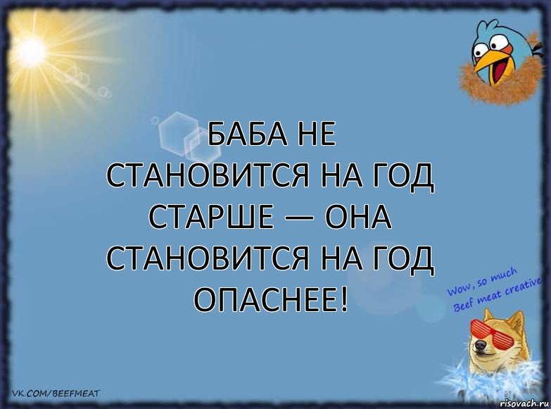 Баба не становится на год старше — она становится на год опаснее!, Комикс ФОН