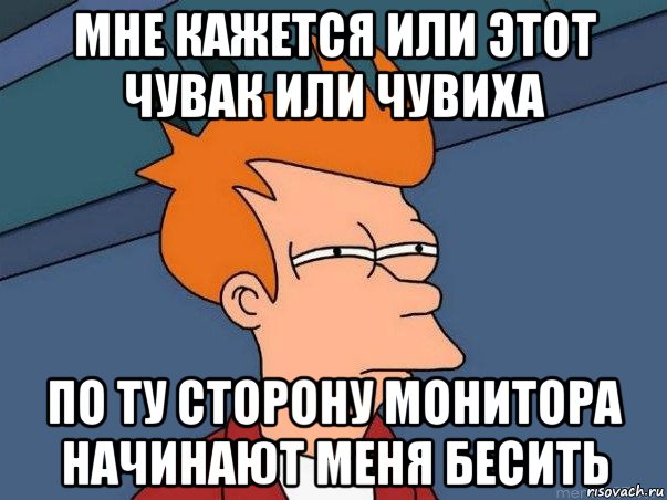 мне кажется или этот чувак или чувиха по ту сторону монитора начинают меня бесить, Мем  Фрай (мне кажется или)