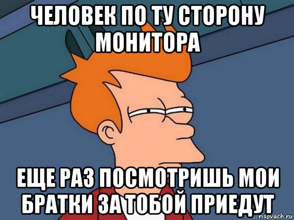 человек по ту сторону монитора еще раз посмотришь мои братки за тобой приедут, Мем  Фрай (мне кажется или)