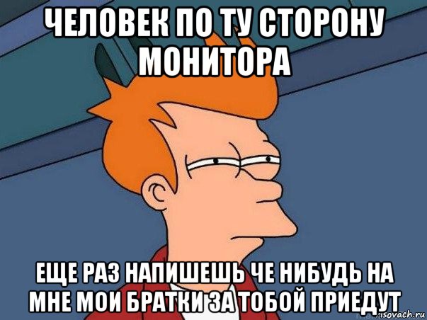 человек по ту сторону монитора еще раз напишешь че нибудь на мне мои братки за тобой приедут, Мем  Фрай (мне кажется или)