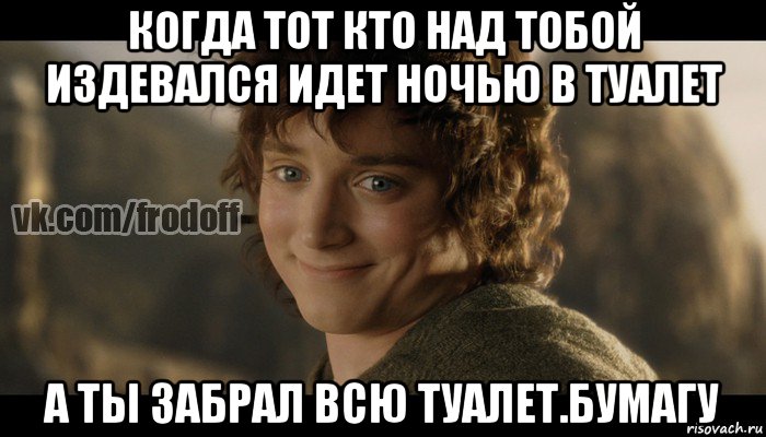 когда тот кто над тобой издевался идет ночью в туалет а ты забрал всю туалет.бумагу, Мем  Фродо