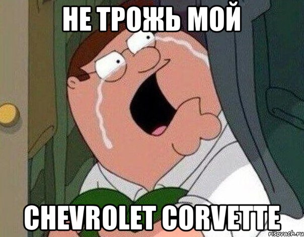 не трожь мой Chevrolet Corvette, Мем Гриффин плачет