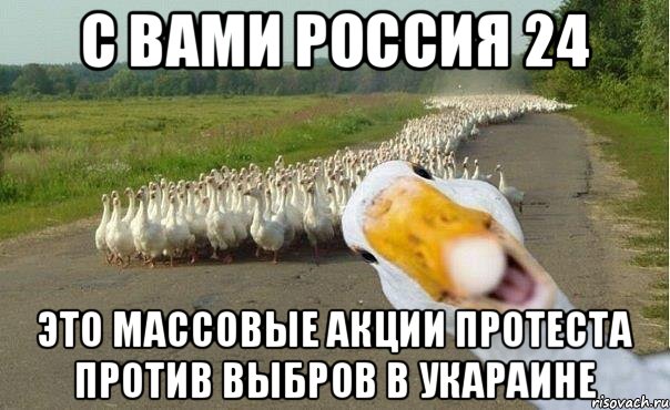 С вами Россия 24 Это массовые акции протеста против выбров в Укараине, Мем гуси