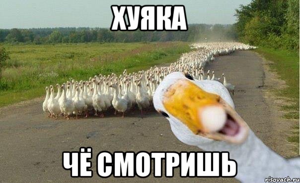 хуяка чё смотришь