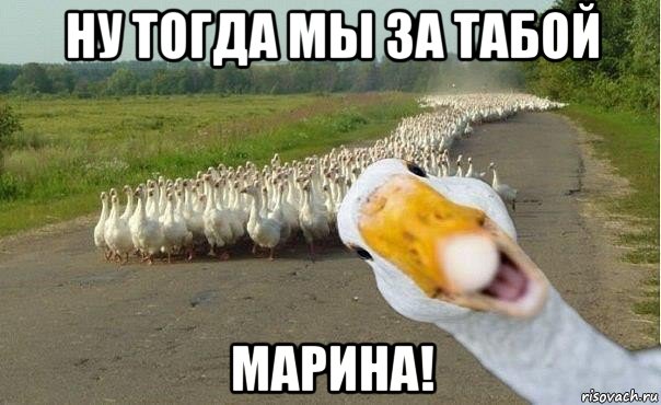 ну тогда мы за табой марина!, Мем гуси