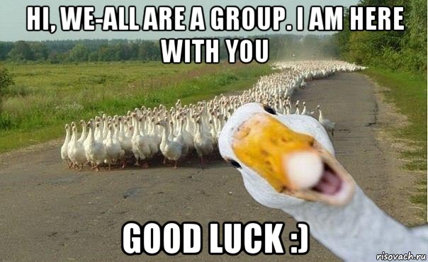 hi, we-all are a group. i am here with you good luck :)