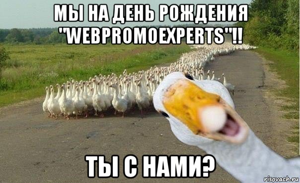 мы на день рождения "webpromoexperts"!! ты с нами?, Мем гуси