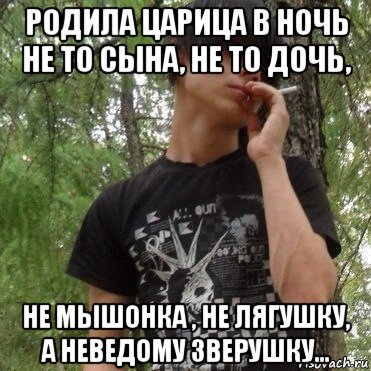 Царица родила дочь