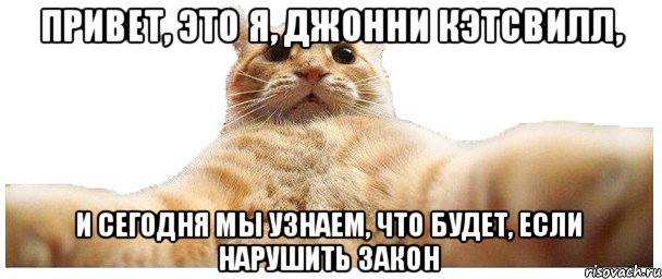 Привет, это я, Джонни Кэтсвилл, и сегодня мы узнаем, что будет, если нарушить закон, Мем   Кэтсвилл