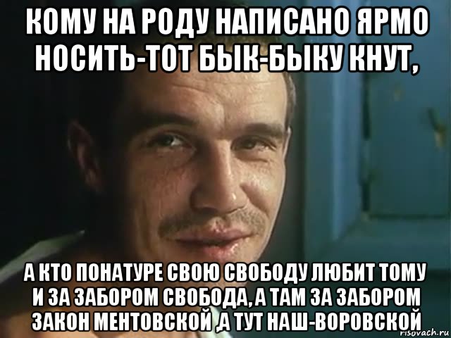 Носить написал. Быку кнут. Кому на роду написано ярмо. Фразы из фильма беспредел. Беспредел цитаты.