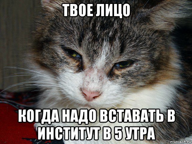 5 утра как твои. Проснулся в 5 утра. Когда надо вставать. Когда встал в 6 утра. Мемы про 5 утра.