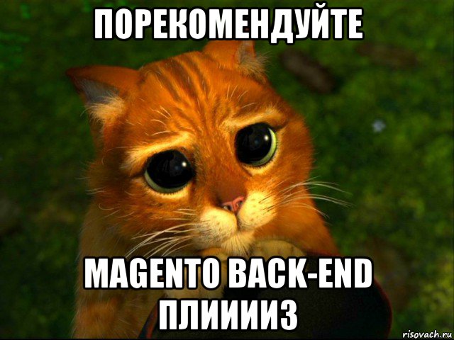 порекомендуйте magento back-end плииииз, Мем кот из шрека