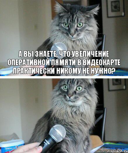 А Вы знаете, что увеличение оперативной пямяти в видеокарте практически никому не нужно? , Комикс  кот с микрофоном