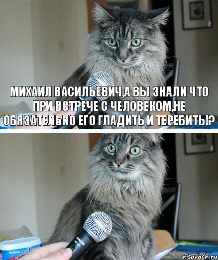 Михаил Васильевич,а вы знали что при встрече с человеком,не обязательно его гладить и теребить!? , Комикс  кот с микрофоном